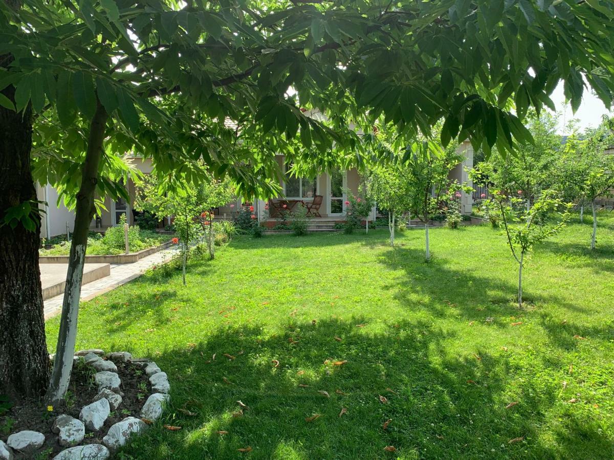 One Dom Cottage Gabala Exterior foto